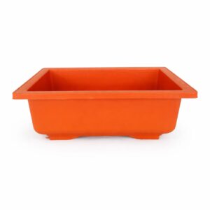 INDOOR PLANTS TRAY